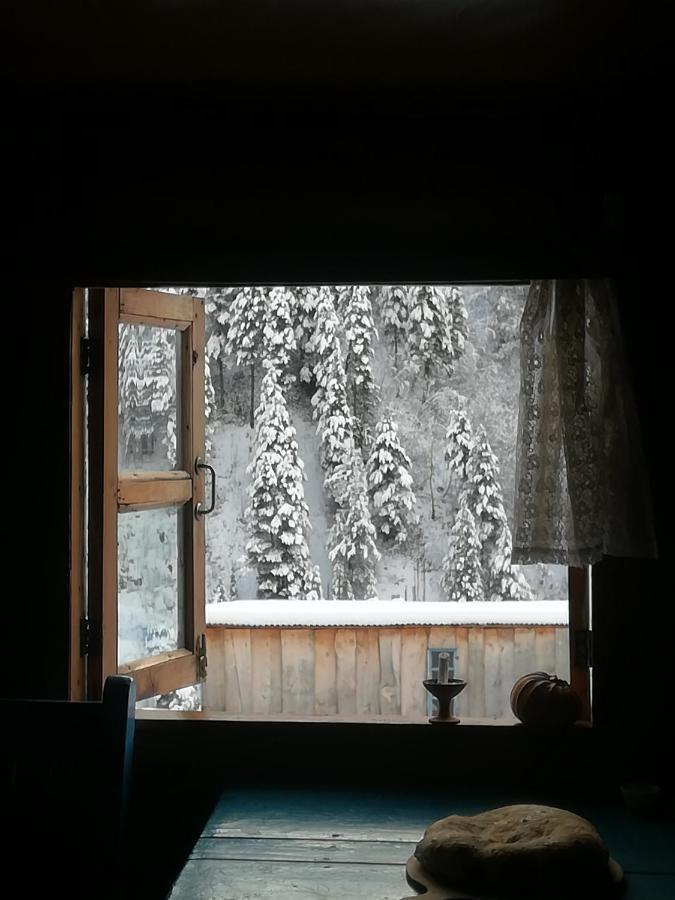 Guest House Elisabeth Adishi Екстериор снимка
