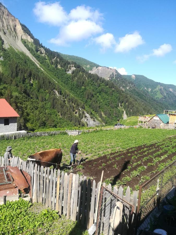 Guest House Elisabeth Adishi Екстериор снимка